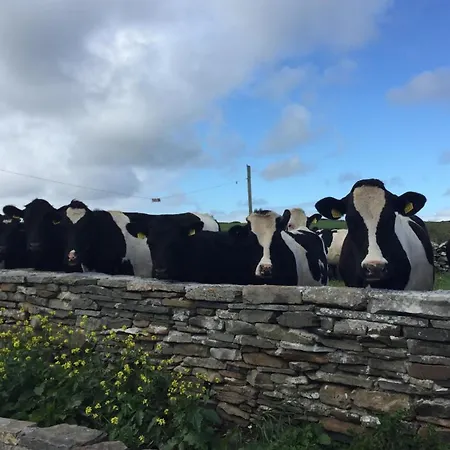 B&B Ballyv House: Private King With En-suite Bathroom, Breakfast, Near Cliffs Of Moher 리스카노