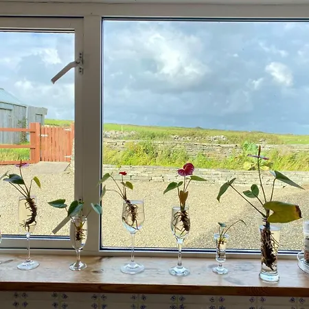 Ballyv House: Private King With En-suite Bathroom, Breakfast, Near Cliffs Of Moher לינה וארוחת בוקר *